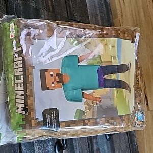 MineCraft (Steve) custome